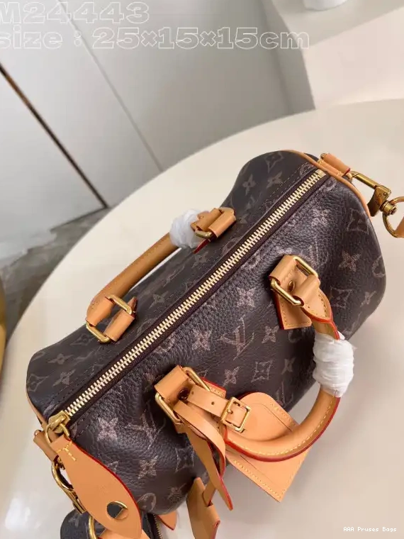 AAA Replica Ru Louis SPEEDY 25 Vuitton 0525